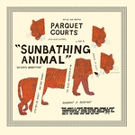Parquet Courts ‘Sunbathing Animal’