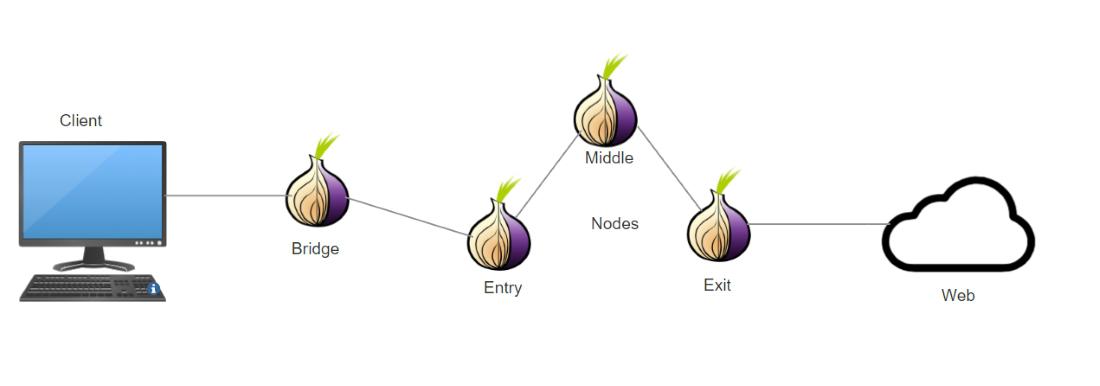 Tor bridge and other network connections